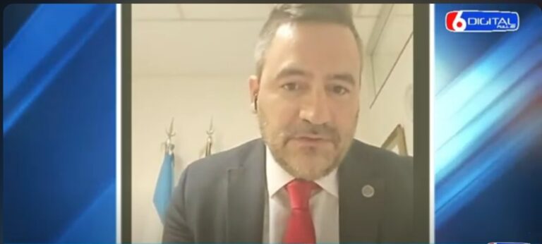 Loros y palomas, plagas difíciles de combatir Loros y palomas, plagas difíciles de combatir imagen-12