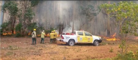 Incendios forestales en Corrientes: al menos tres localidades con focos activos y una persona fallecida imagen-5