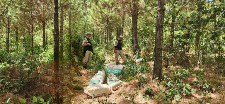 Prefectura Naval Argentina incautó más de 115 kilos de marihuana en Misiones durante un operativo en la frontera fluvial con Paraguay imagen-39