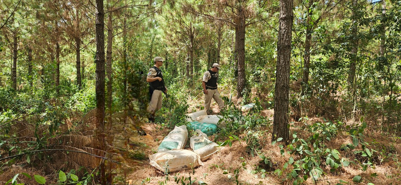 Prefectura Naval Argentina incautó más de 115 kilos de marihuana en Misiones durante un operativo en la frontera fluvial con Paraguay imagen-6