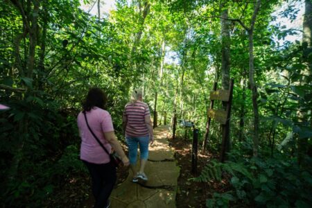 Senderismo consciente y meditación guiada en el Parque Salto Encantado imagen-9