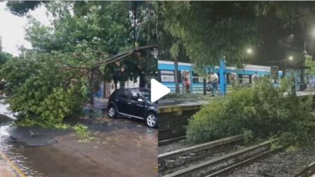 Árboles caídos, techos volados y cortes de luz por el feroz temporal en Buenos Aires imagen-17