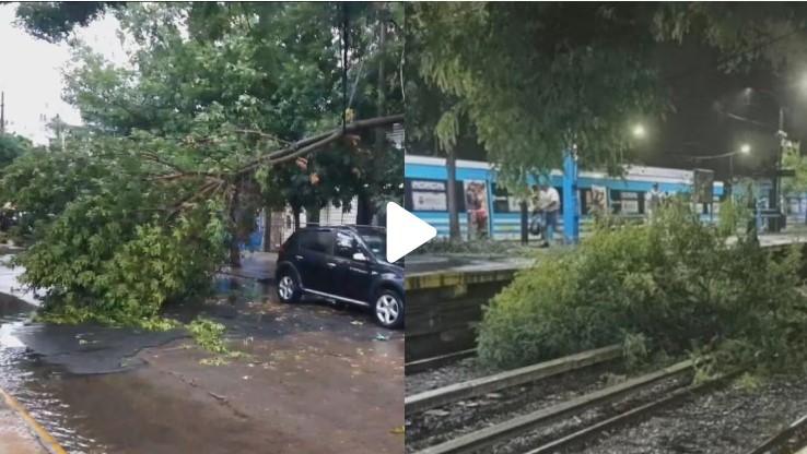 Árboles caídos, techos volados y cortes de luz por el feroz temporal en Buenos Aires imagen-18