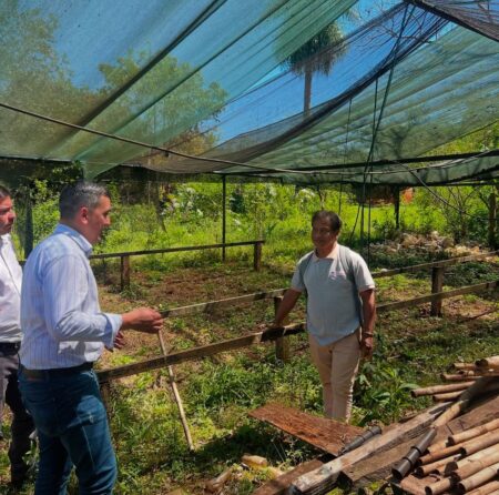 Viveros en comunidades Mbyá Guaraní para fortalecer el turismo comunitario imagen-7