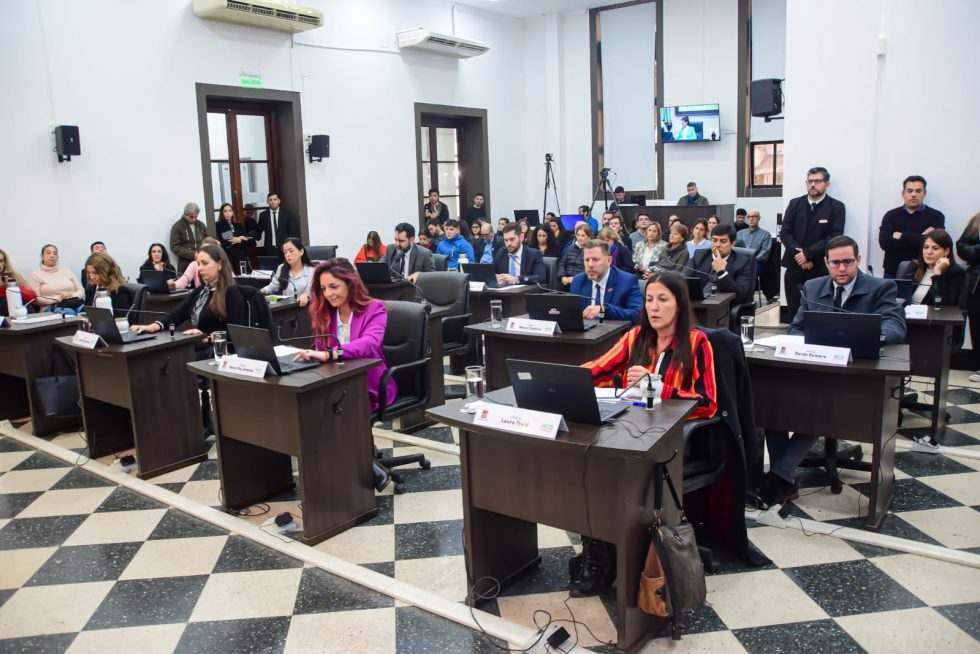 El HCD cerró el 2024 con más de un centenar de ordenanzas: "La participación ciudadana fue clave para la tarea legislativa", destacó "Jair" Dib imagen-8