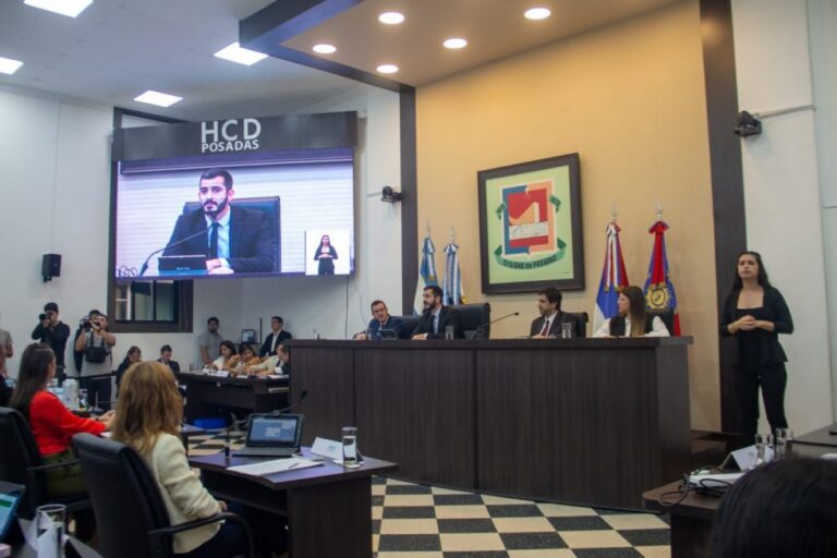 El HCD cerró el 2024 con más de un centenar de ordenanzas: "La participación ciudadana fue clave para la tarea legislativa", destacó "Jair" Dib imagen-39