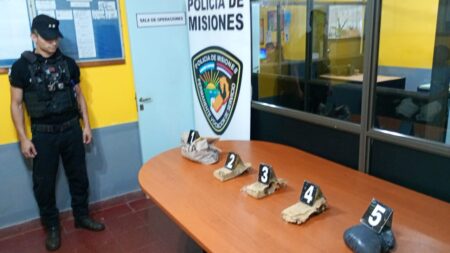 Policías secuestraron más de dos millones de pesos en marihuana oculta en una zona rural imagen-2