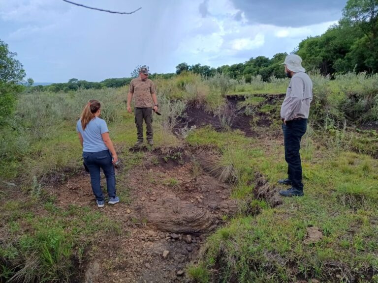 Verifican el estado de la Subcuenca del arroyo Profundidad imagen-32