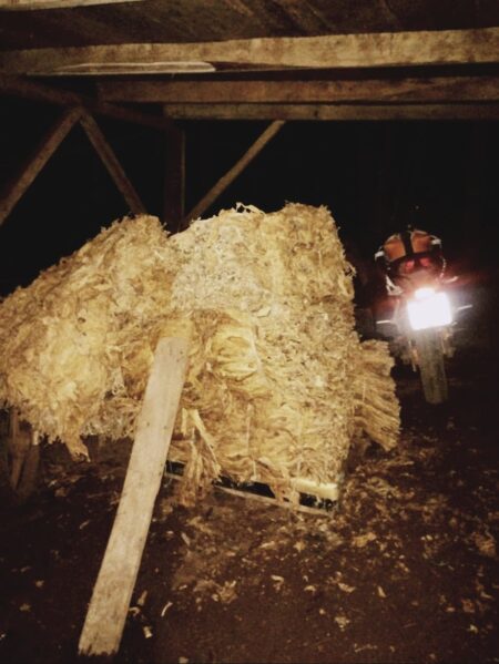 San Pedro: recuperan más de 300 kilos de hojas de tabaco robadas a un colono imagen-3