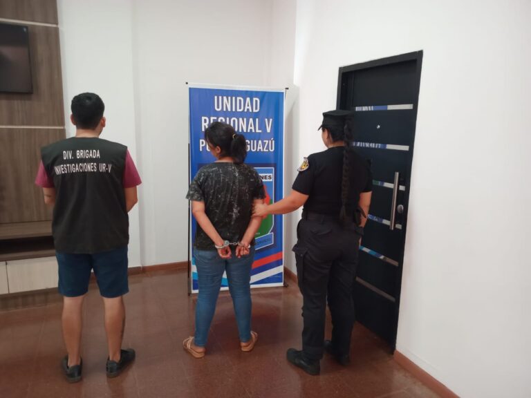 Quedó registrada en las cámaras cuando robó un auto y fue detenida imagen-35