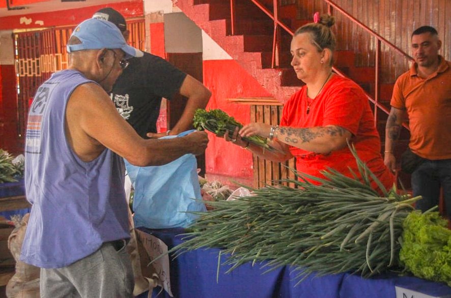 "Alimentazo", una respuesta y un camino imagen-8