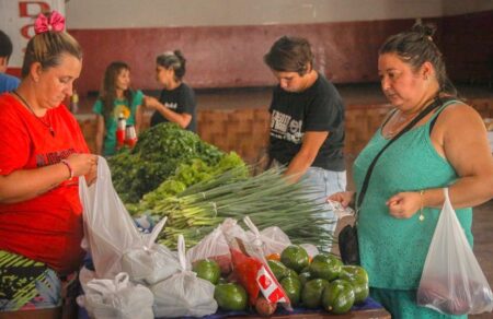 "Alimentazo", una respuesta y un camino imagen-5