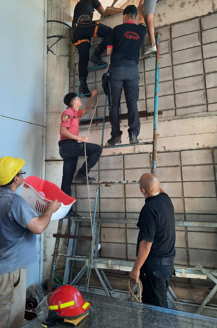 El bombero Núñez "murió en el mayor acto de amor que puede tener una persona, entregó su vida para salvar a otra, es una gran pérdida para toda la comunidad" imagen-6