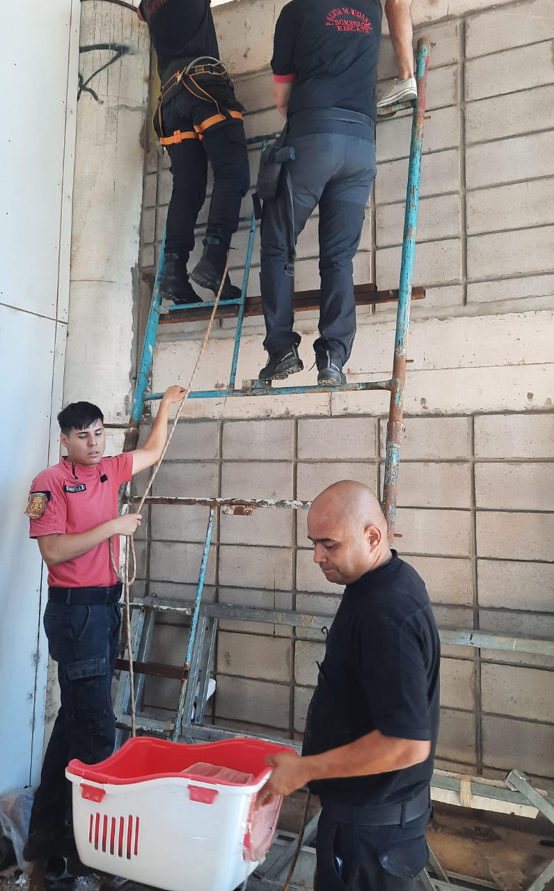 El bombero Núñez "murió en el mayor acto de amor que puede tener una persona, entregó su vida para salvar a otra, es una gran pérdida para toda la comunidad" imagen-4