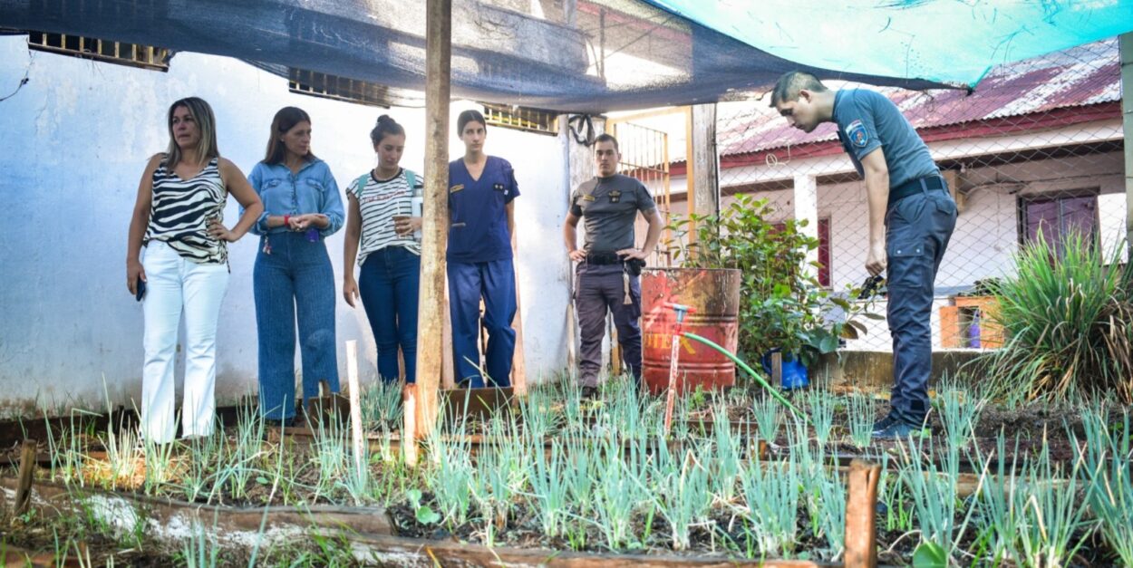 Posadas promueve la alimentación saludable en la Unidad Penal IV imagen-7