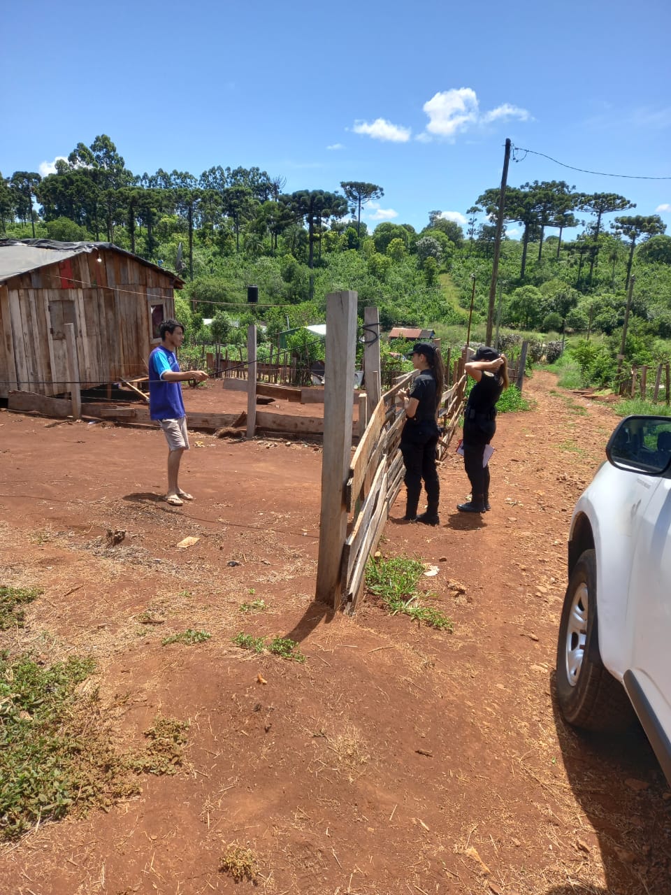 Operativos rurales en Misiones: Un enfoque integral con la seguridad y la preservación imagen-9