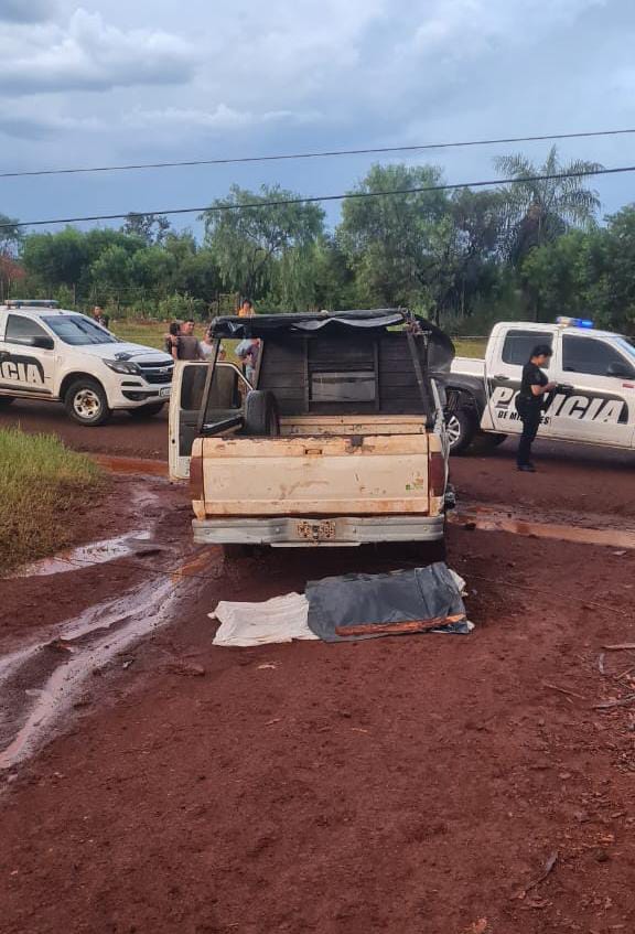 Cayó un poste de energía sobre una camioneta y falleció un hombre electrificado imagen-5