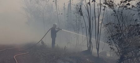 A pesar de algunas lluvias de los últimos días, el monte y los pastizales se mantienen secos imagen-5