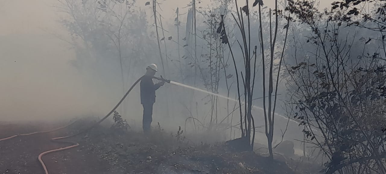 A pesar de algunas lluvias de los últimos días, el monte y los pastizales se mantienen secos imagen-6