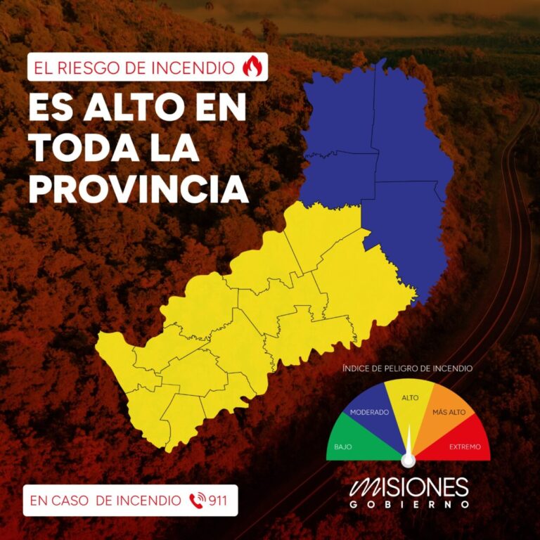 Continúa la alerta: 13 departamentos de la zona sur y centro de Misiones se encuentran en riesgo "Alto" de incendios imagen-34