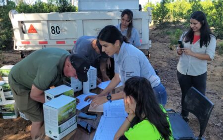 Más de 100 productores campograndenses recibieron bioinsumos para sus chacras imagen-6