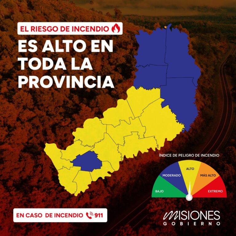 Advierten sobre "alto riesgo de incendios" en las zonas Sur y Centro de la provincia imagen-50