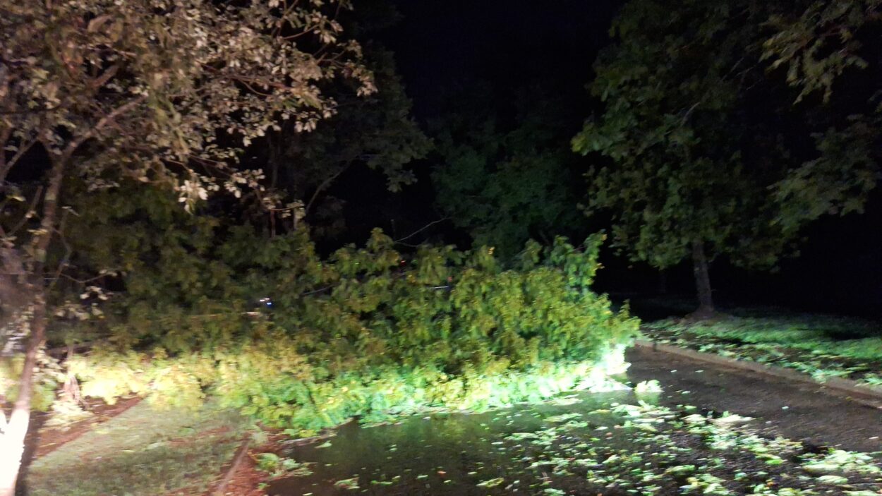 Una fuerte tormenta azotó la ciudad de Alem imagen-4