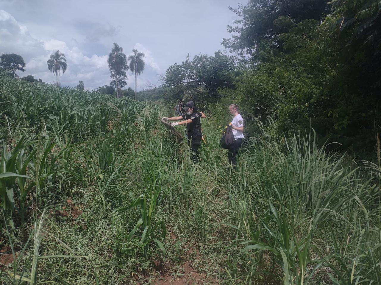 Hallaron sin vida al hombre que estaba desaparecido en Piñalito Norte imagen-6