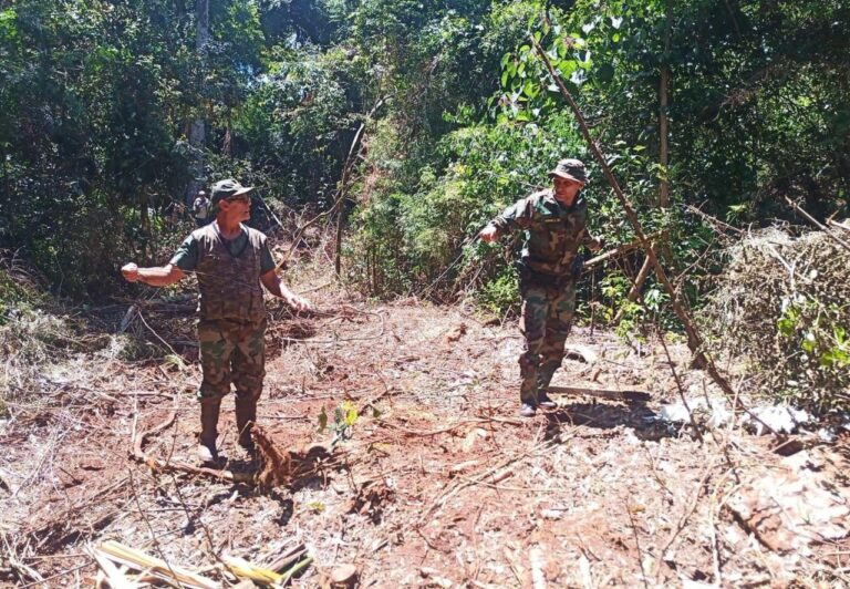 Desarticulan intento de robo de madera nativa en el Parque Provincial Foerster imagen-27