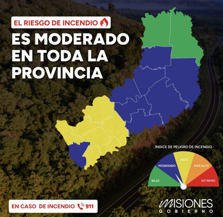 Pese a las lluvias, persiste el riesgo de incendios en el Sur y Centro de Misiones imagen-6