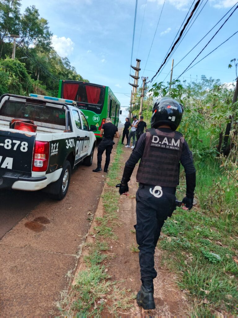 Demoraron a tres adolescentes que arrojaban piedras a colectivos imagen-35