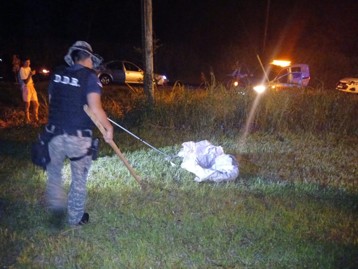 Policías atraparon a un yacaré de 1.5 metros y casi 30 kilos en una laguna de Nueve de Julio imagen-4