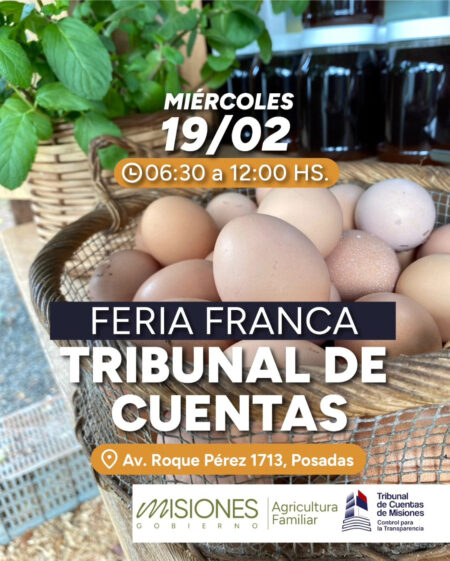 Productores ofrecerán frutas, verduras y productos regionales en la Feria Tribunal de Cuentas imagen-7