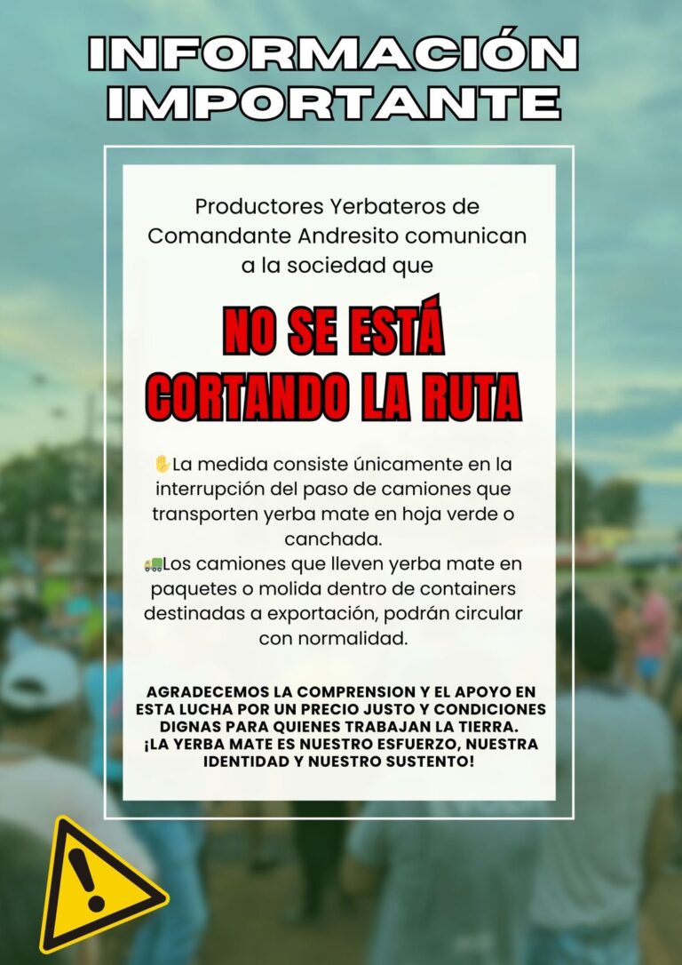 Yerba mate: mantener abierto el diálogo con la industria y promover el producto Yerba mate: mantener abierto el diálogo con la industria y promover el producto imagen-50