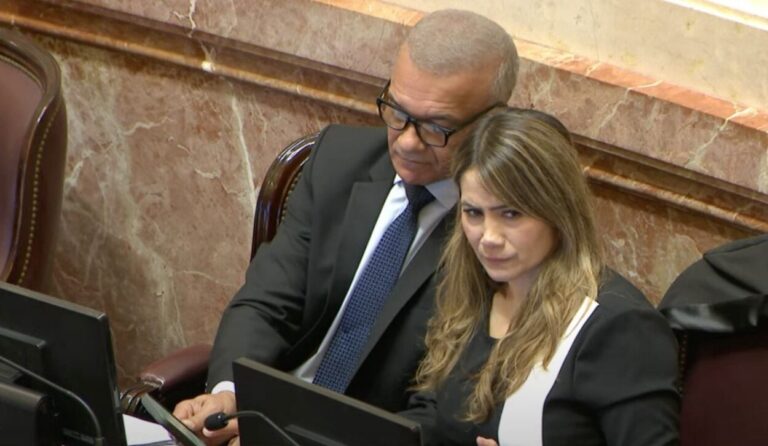 Con el voto de la Renovación, se aprobó la suspensión de las Paso Con el voto de la Renovación, se aprobó la suspensión de las Paso imagen-46