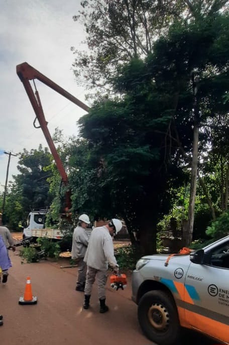 Despeje y mantenimiento de líneas eléctricas en barrios de Puerto Iguazú imagen-2