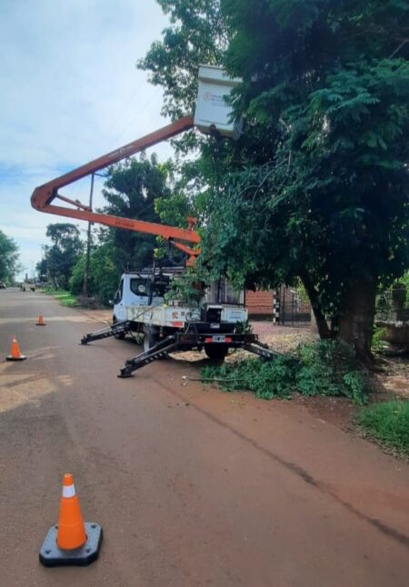 Despeje y mantenimiento de líneas eléctricas en barrios de Puerto Iguazú imagen-27