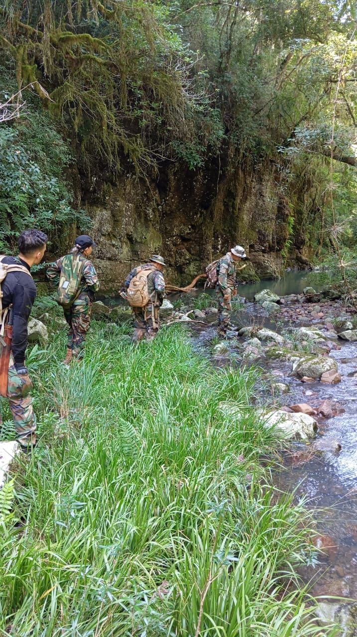 Patrullan los parques Esmeralda, Piñalito y Caá Yarí para desalentar la presencia de cazadores imagen-10