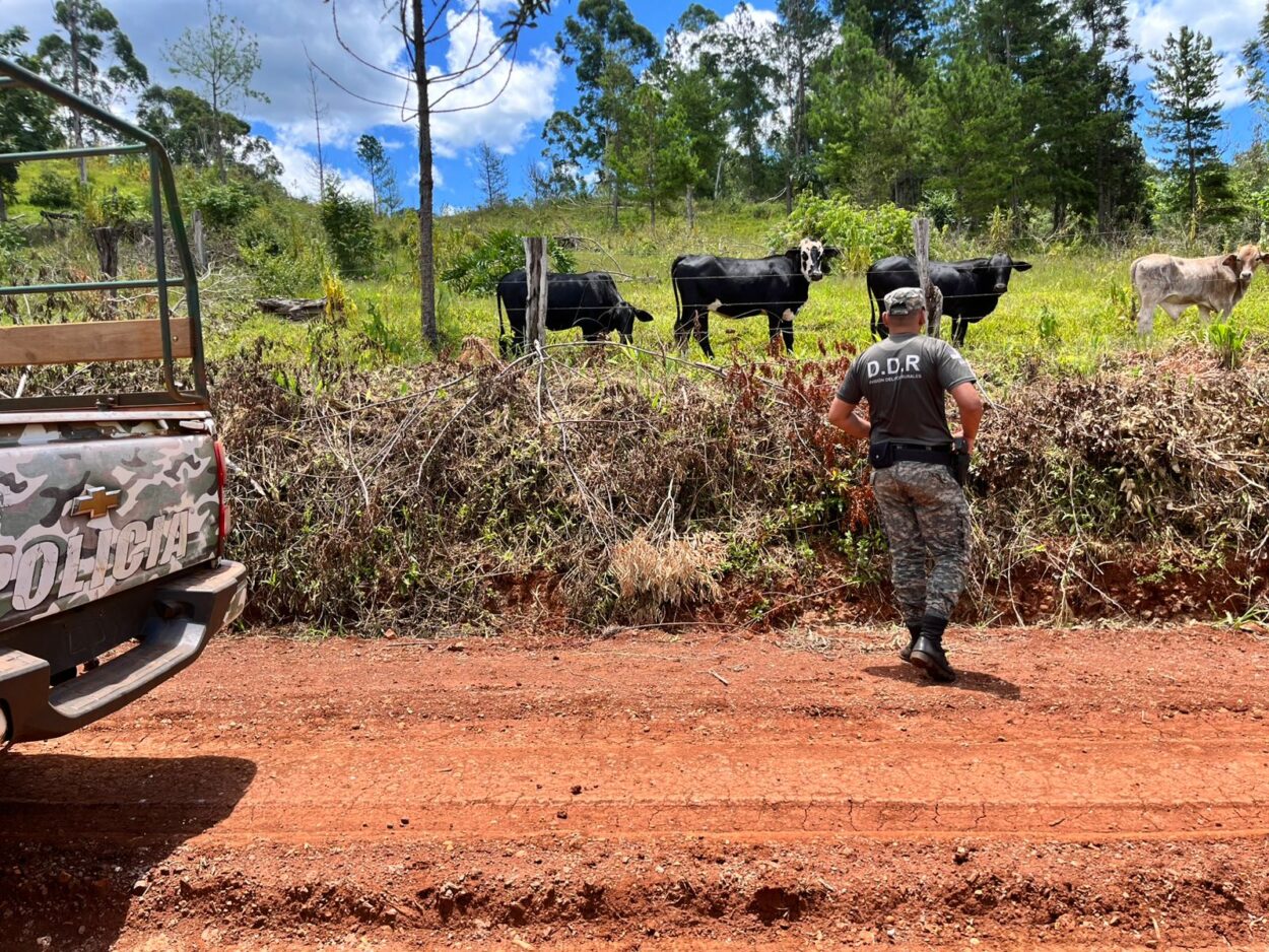 Prevención y seguridad en Misiones: recorridas, puestos fijos y patrullajes rurales imagen-11