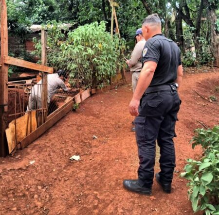 Como se enfermó lo descartaron: la Policía acogió a un perro abandonado en Oberá imagen-5