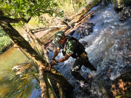 Ruiz de Montoya: desarman trampas “París” que estaban obstaculizando el cauce del arroyo Cuñá Pirú imagen-5