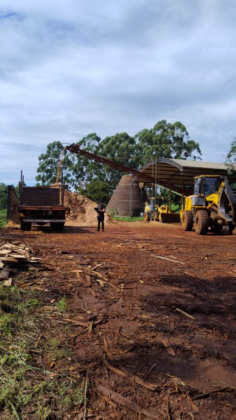 Murió un hombre tras un accidente laboral en Guaraní imagen-9