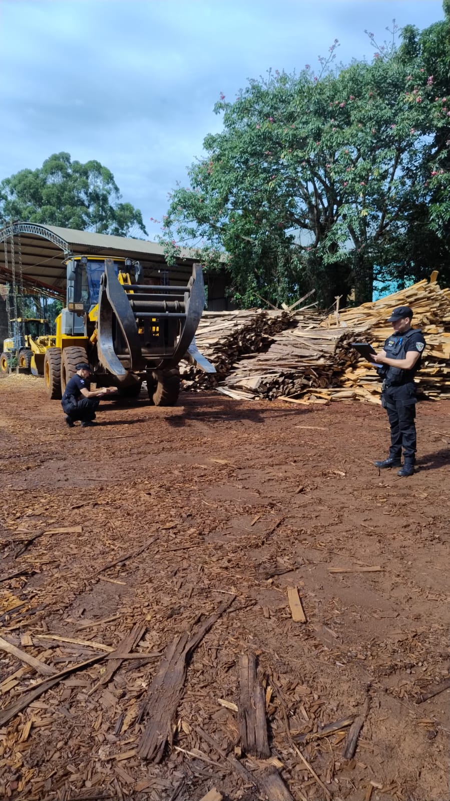 Murió un hombre tras un accidente laboral en Guaraní imagen-2