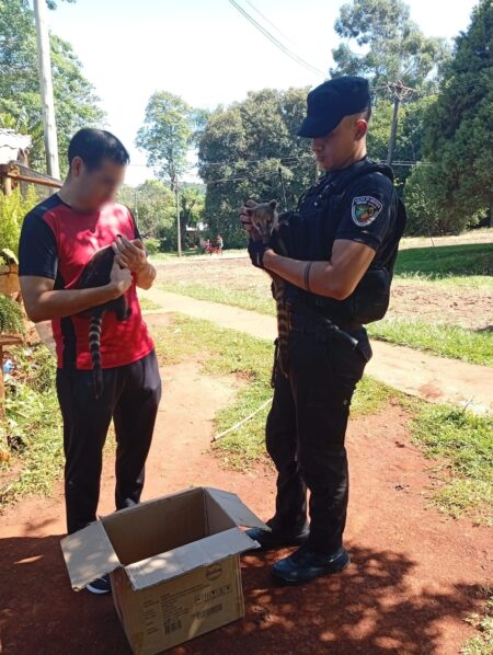 Capioví: Policías rescataron a dos coatís que habían ingresado a una vivienda para llevarse comida imagen-17