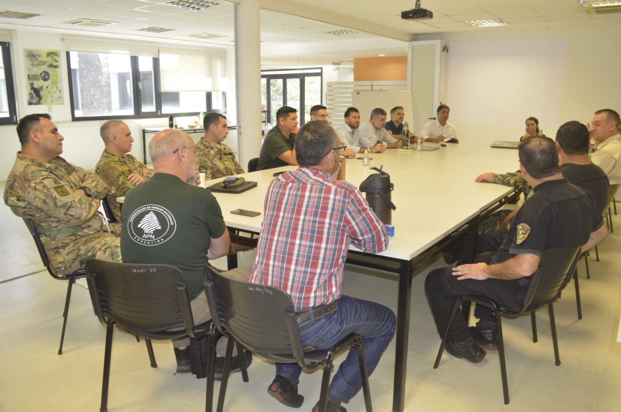 Puerto Iguazú: por la presencia de un yaguareté en la zona de las Dos Mil Hectáreas, diversas instituciones coordinan acciones de prevención imagen-4