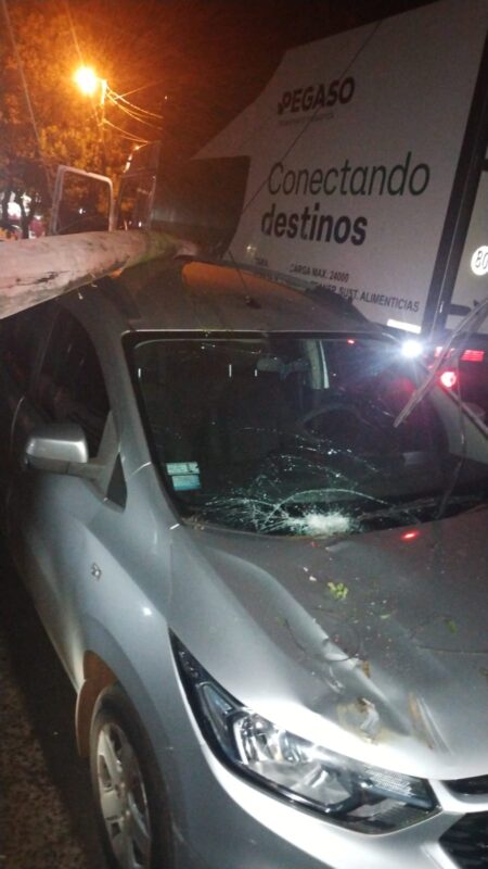 Puerto Iguazú: camión atropelló un poste de luz que cayó sobre un vehículo estacionando imagen-5