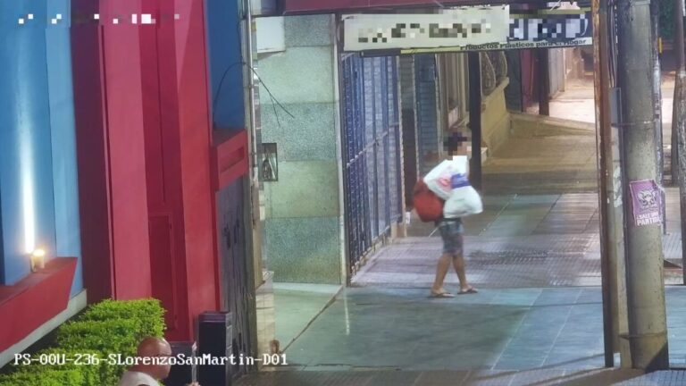 Cámaras del 911 y patrullas evitaron que un delincuente se lleve elementos de un comercio posadeño imagen-27