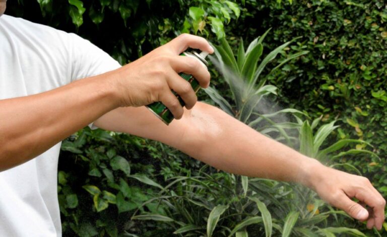 Instan a reforzar los cuidados para evitar la propagación del dengue imagen-45