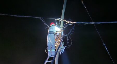 Pese a múltiples daños, Energía de Misiones pudo normalizar la mayoría de los cortes por la tormenta imagen-5