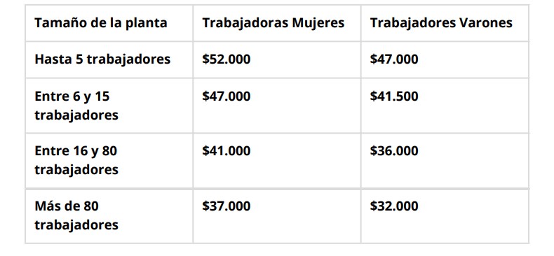 Recuerdan a las empresas la vigencia de programas diseñados para la competitividad, promover el empleo y fomentar la capacitación imagen-4